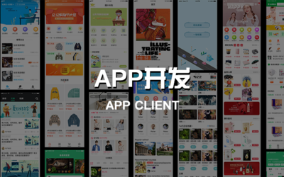 貨運APP定制開發與北京企業網站開發運營全解析